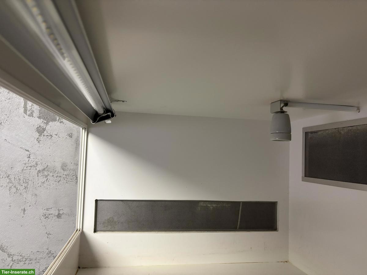 Bild 2: 2 stapelbare Forex Terrarien, abschliessbar