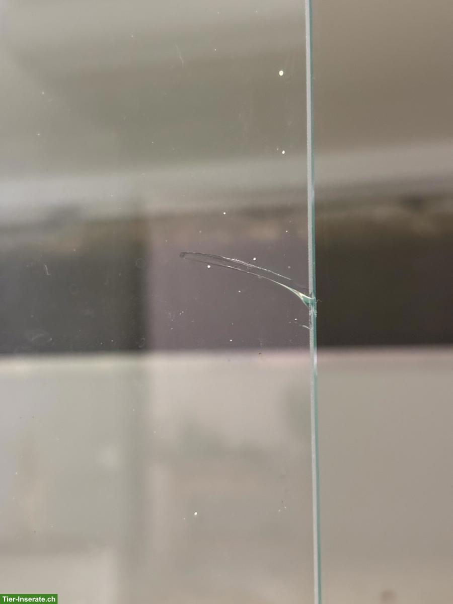 Bild 4: 2 stapelbare Forex Terrarien, abschliessbar