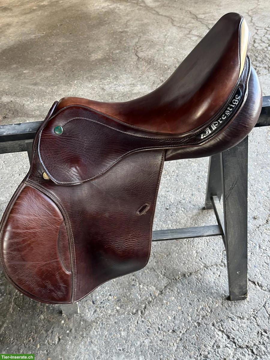 Prestige Elastic Sattel zu verkaufen