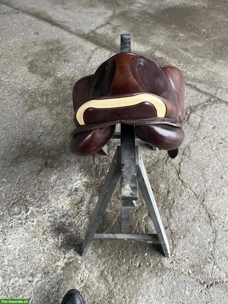 Bild 3: Prestige Elastic Sattel zu verkaufen