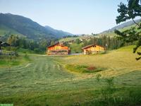 Sommerweiden im Berner Oberland für Ponys und Kleinpferde