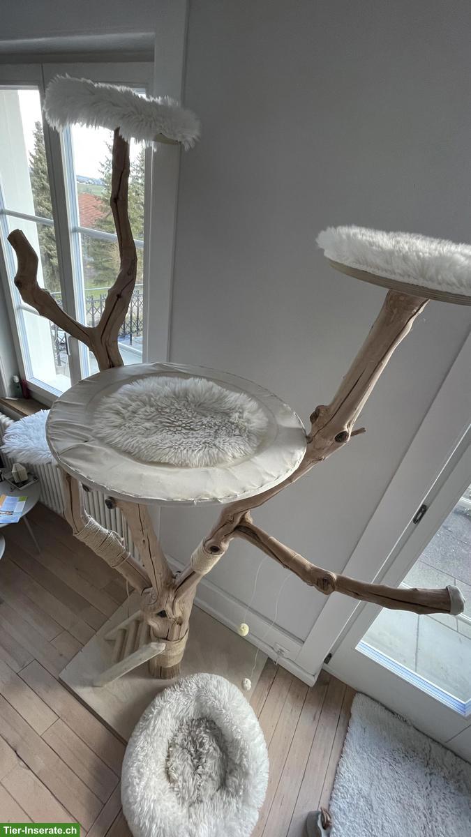 Bild 2: Katzenbaum Naturholz - Unikat!