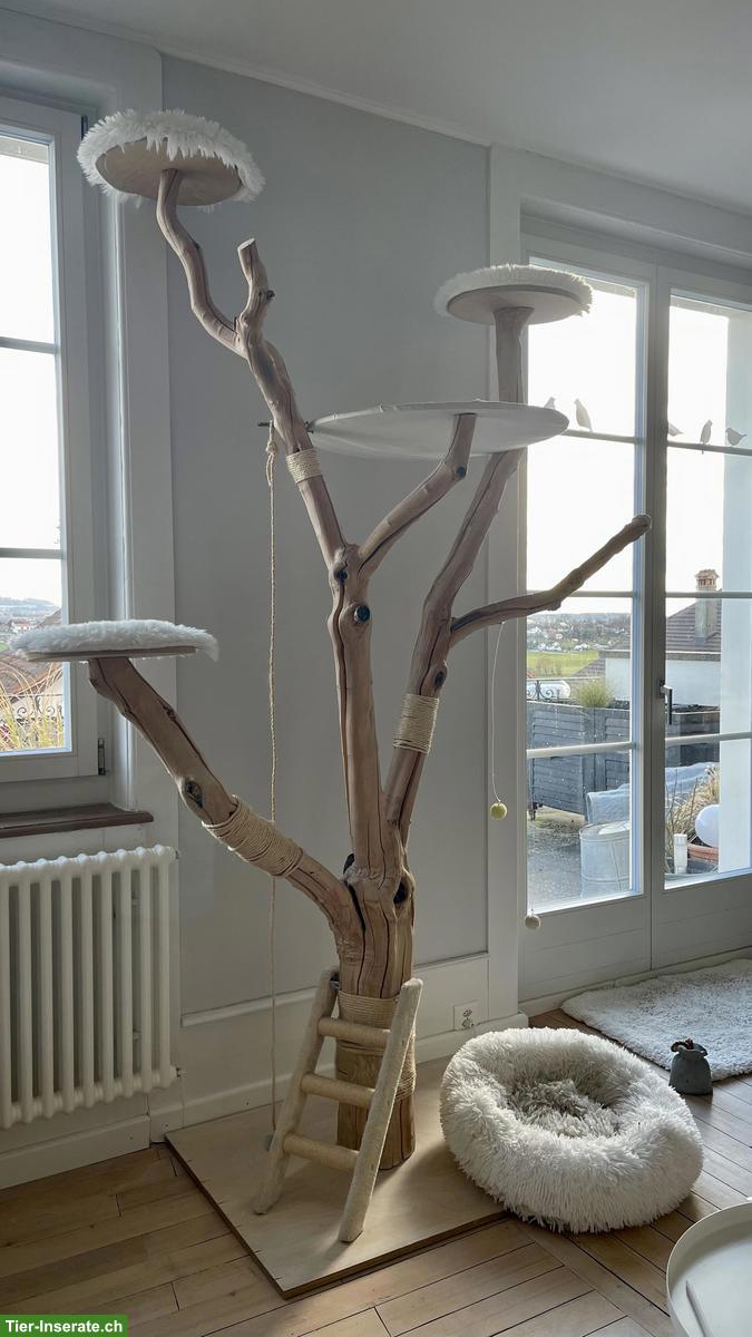 Bild 4: Katzenbaum Naturholz - Unikat!