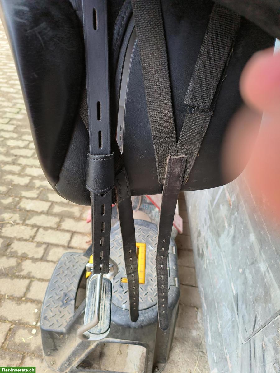 Bild 9: Stübben Islandsattel mit Strassbesatz 17.5 Zoll