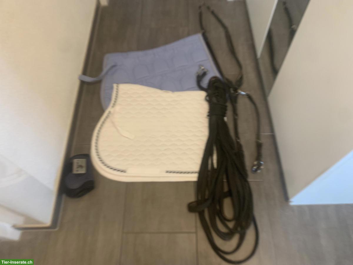 Pferdezubehör: Schabracken, Doppellonge, Gamasche, Decke