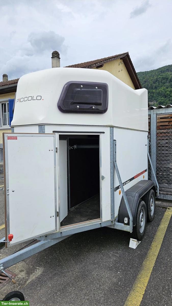 Bild 2: Kleinpferdeanhänger Piccolo PDS Tandem-2