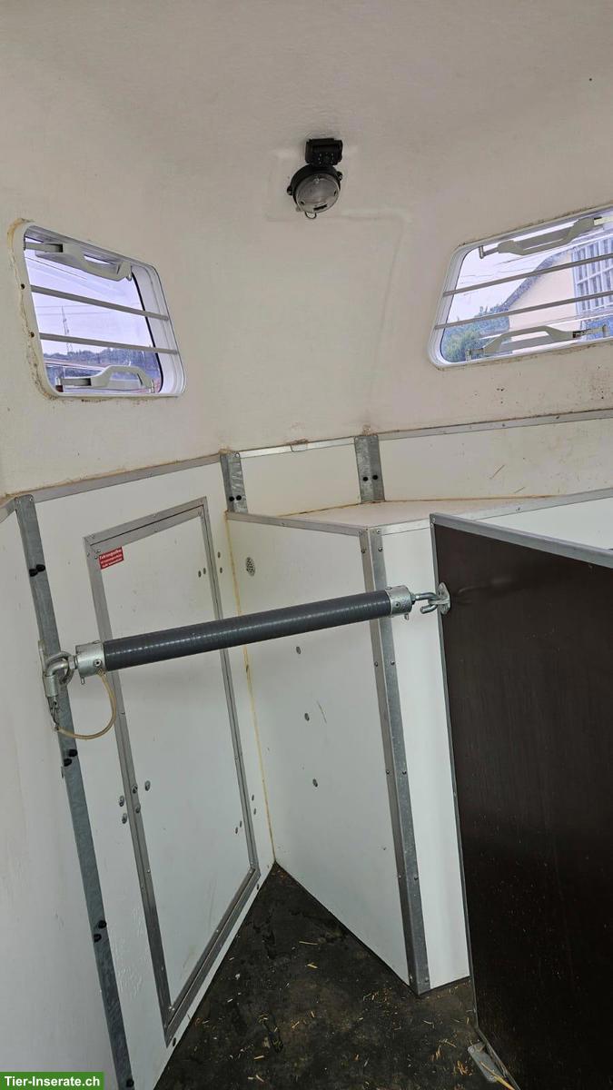 Bild 5: Kleinpferdeanhänger Piccolo PDS Tandem-2