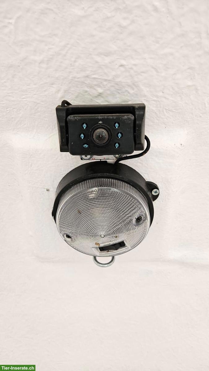 Bild 7: Kleinpferdeanhänger Piccolo PDS Tandem-2