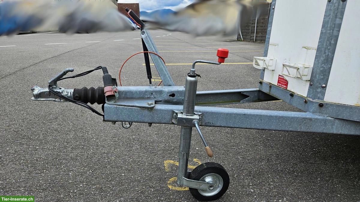 Bild 8: Kleinpferdeanhänger Piccolo PDS Tandem-2