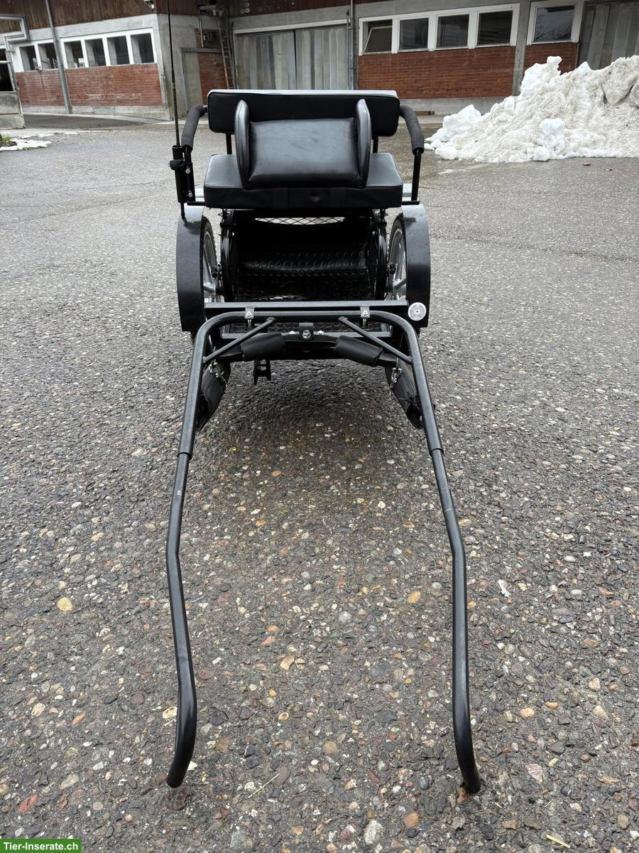 Bild 2: Mini Shetty Sulky, neuwertig, zu verkaufen