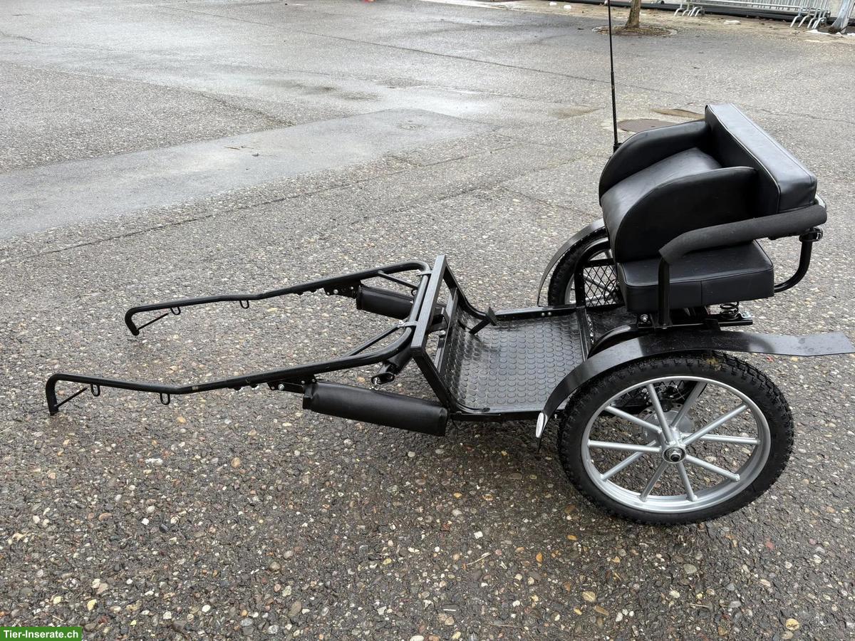 Bild 3: Mini Shetty Sulky, neuwertig, zu verkaufen