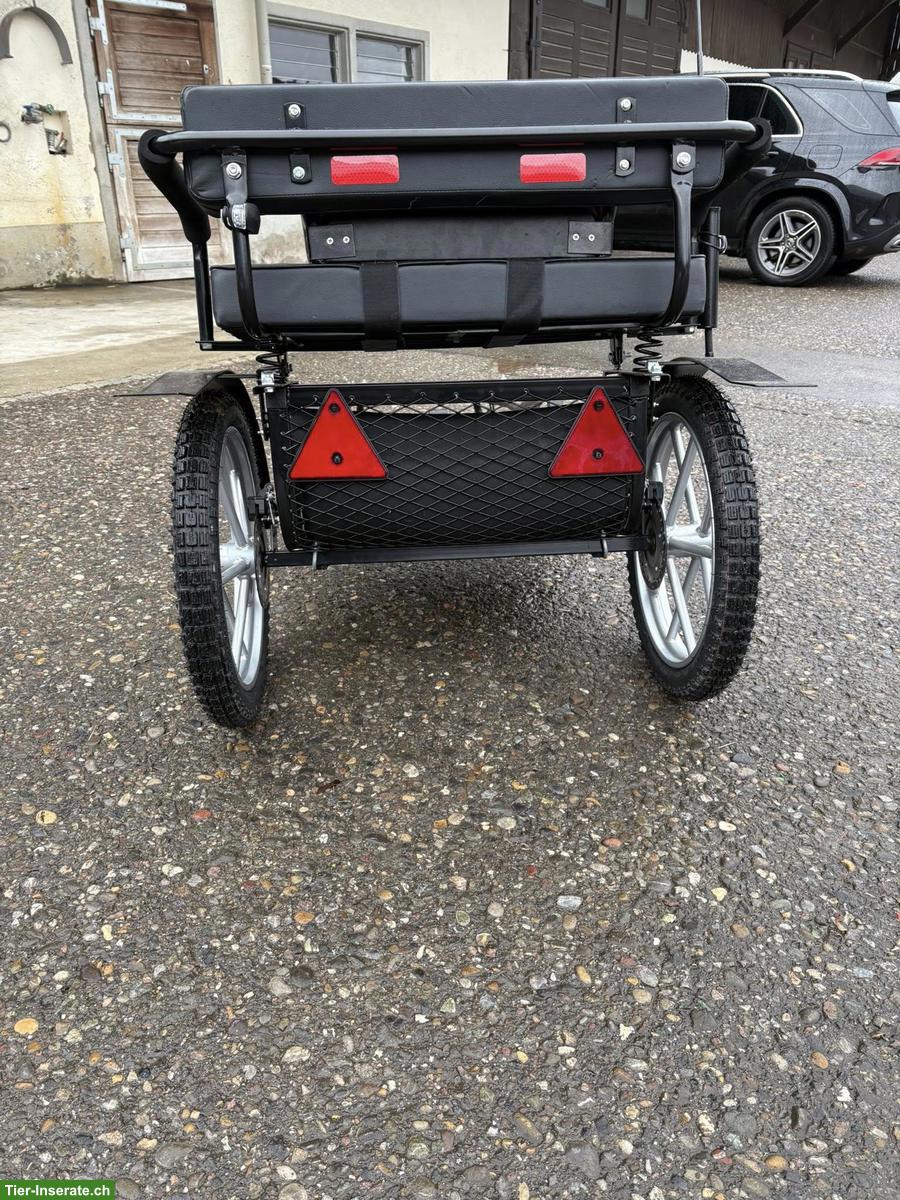 Bild 4: Mini Shetty Sulky, neuwertig, zu verkaufen