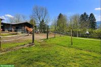 Auslaufstall für 2 Pferde in Alikon AG