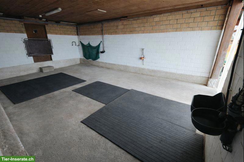 Bild 3: Auslaufstall für 2 Pferde in Alikon AG