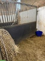 Occasion Pferdeboxen-Elemente