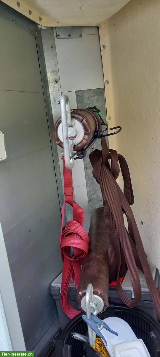 Bild 2: 2er Pferdeanhänger Daltec Cargo 20