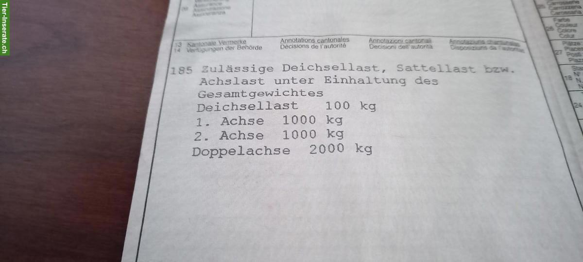 Bild 5: 2er Pferdeanhänger Daltec Cargo 20