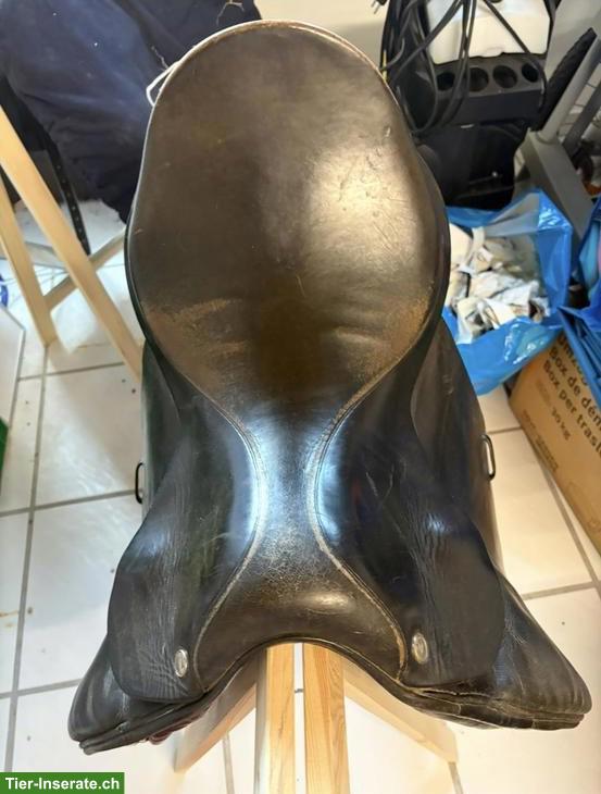 Bild 2: Dressursättel LaBelle + Ikonic zu verkaufen