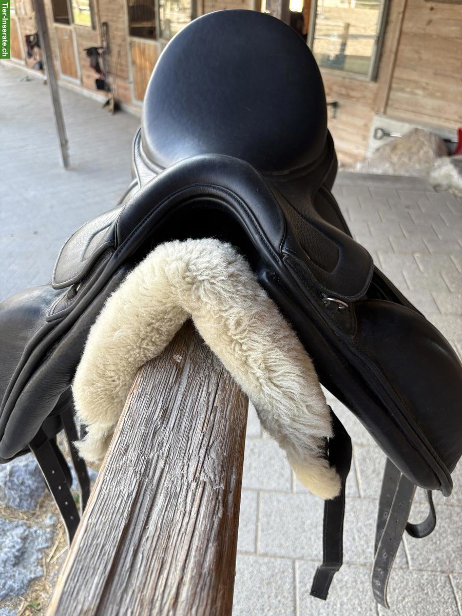 Bild 4: Dressursättel LaBelle + Ikonic zu verkaufen