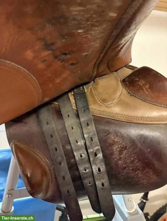 Bild 2: Stübben Springsattel 17.5 Zoll zu verkaufen