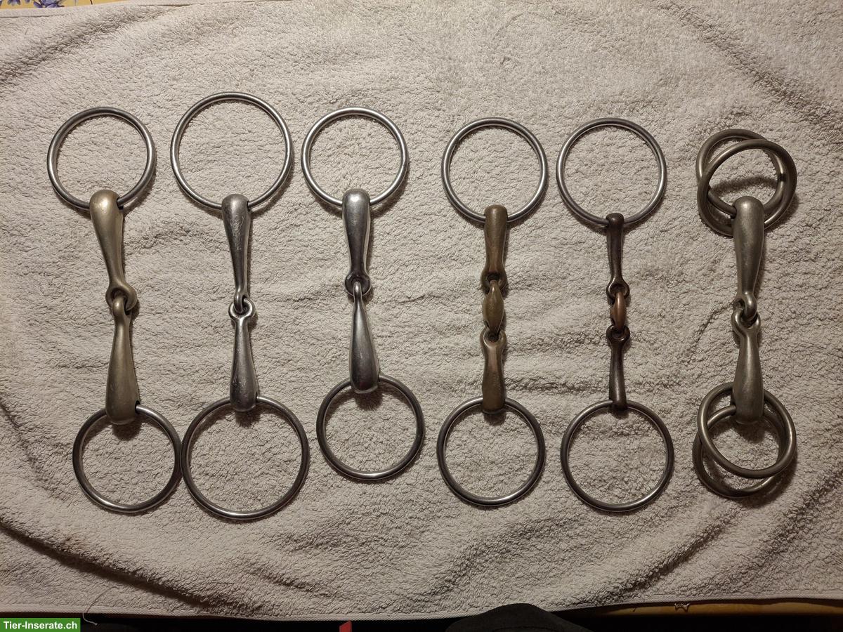 Bild 2: Diverse Wassertrensen zu verkaufen