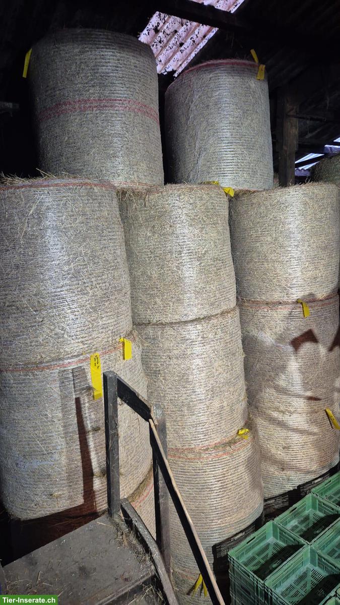 Bio-Heu (Umstellungsbetrieb) Rundballen zu verkaufen