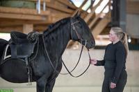 Teilzeit-Bürokraft gesucht, gegen Reitausbildung, 20-50%