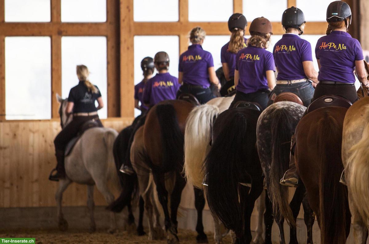 Bild 5: Teilzeit-Bürokraft gesucht, gegen Reitausbildung, 20-50%