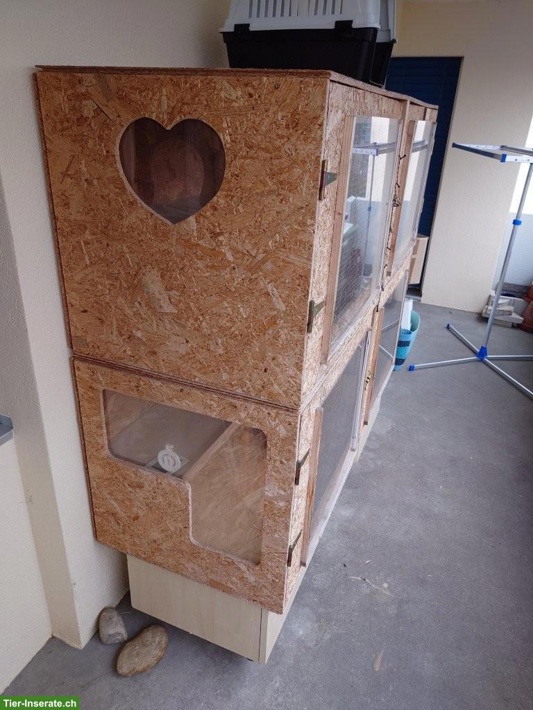 Bild 2: Meerschweinchen- oder Kaninchenstall, mehrstöckig