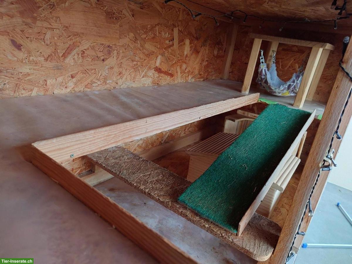 Bild 6: Meerschweinchen- oder Kaninchenstall, mehrstöckig