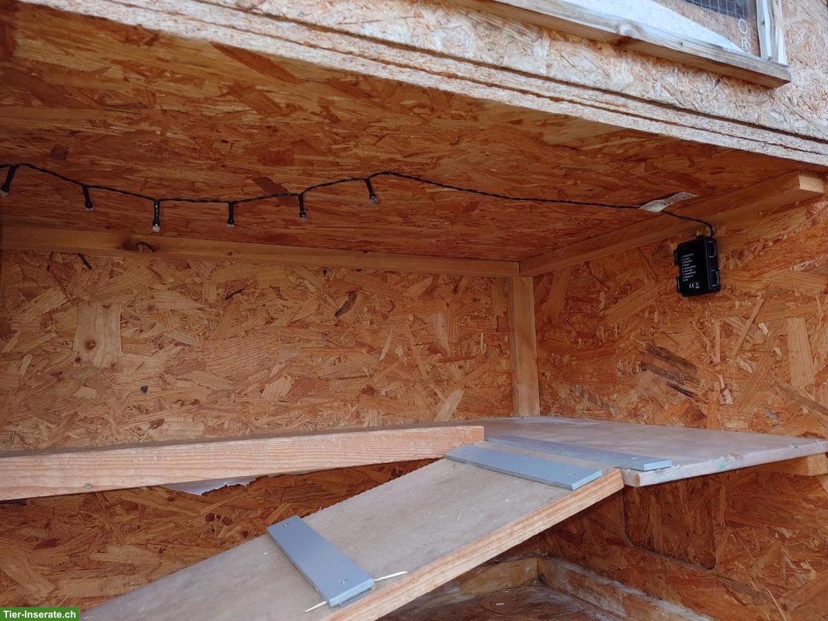 Bild 7: Meerschweinchen- oder Kaninchenstall, mehrstöckig