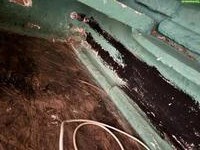 Terrarium zum Aufbereiten