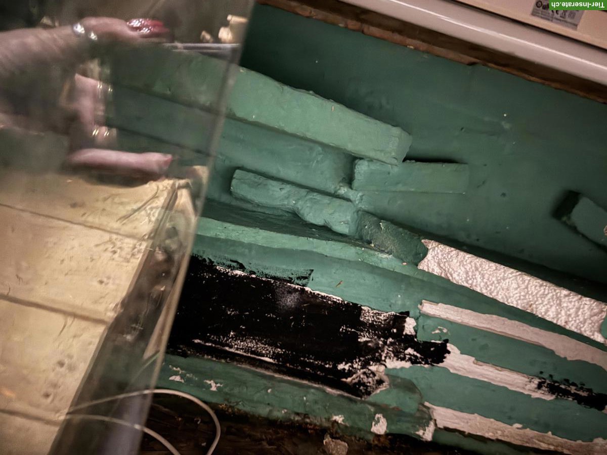 Bild 2: Terrarium zum Aufbereiten