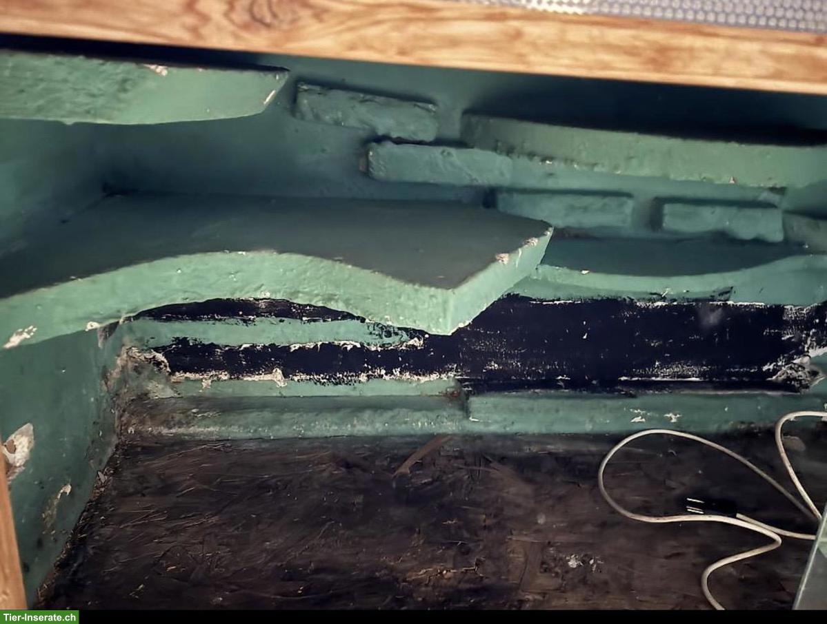 Bild 4: Terrarium zum Aufbereiten