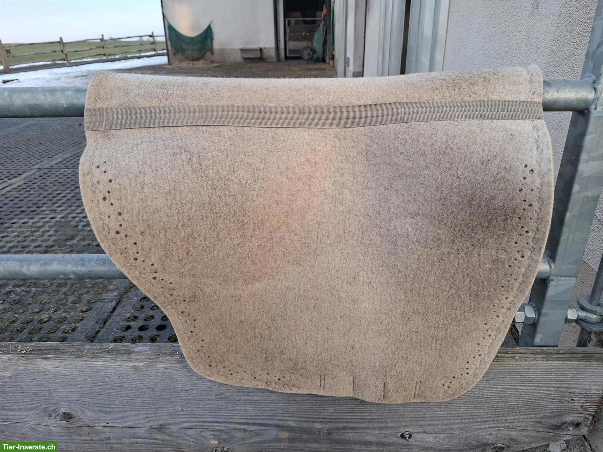 Bild 3: Filzschabracke Reitmanufaktur zu verkaufen