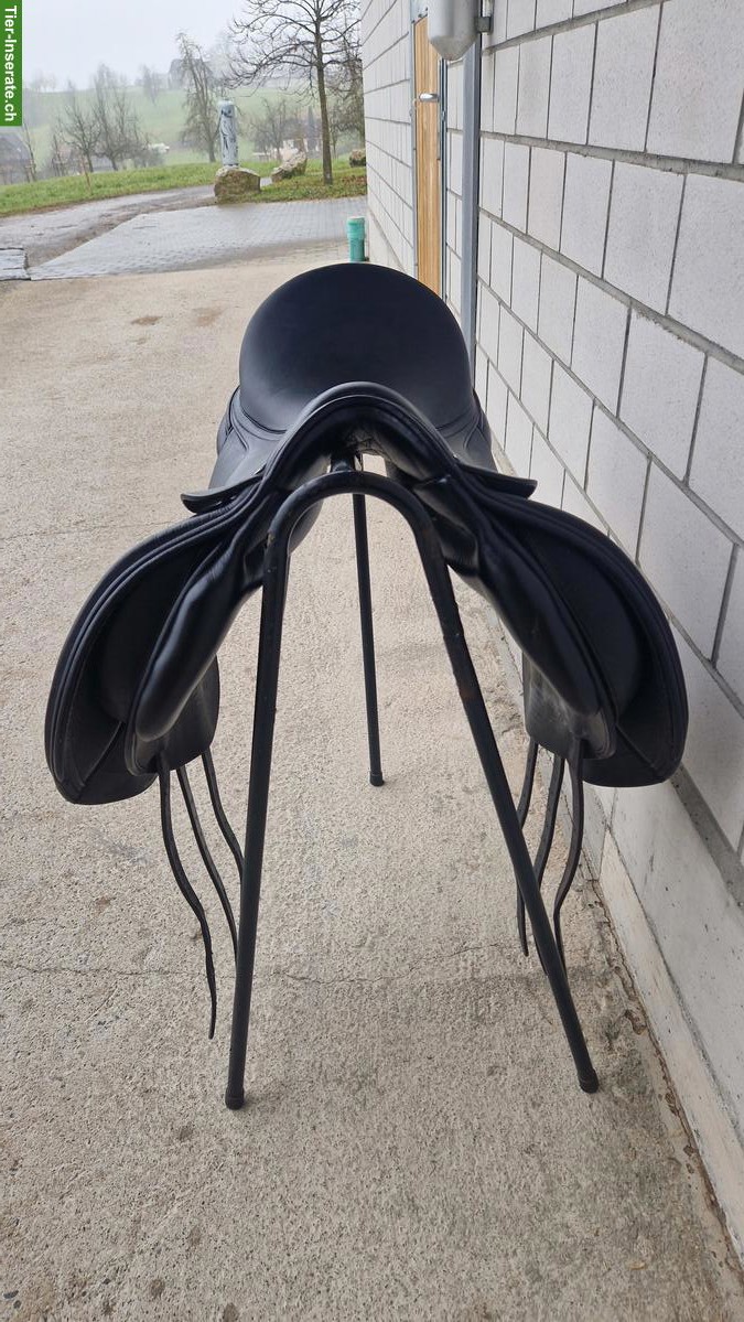 Bild 3: Morgenrot Vielseitigkeitssattel 17.5 Zoll zu verkaufen