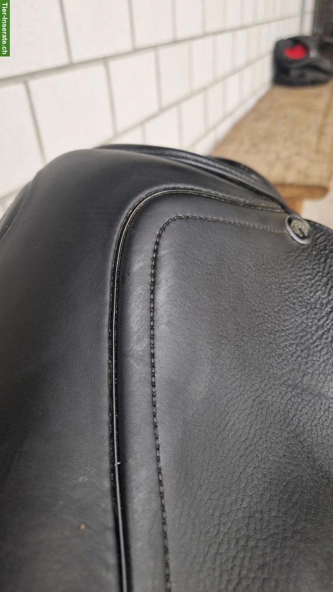 Bild 4: Morgenrot Vielseitigkeitssattel 17.5 Zoll zu verkaufen