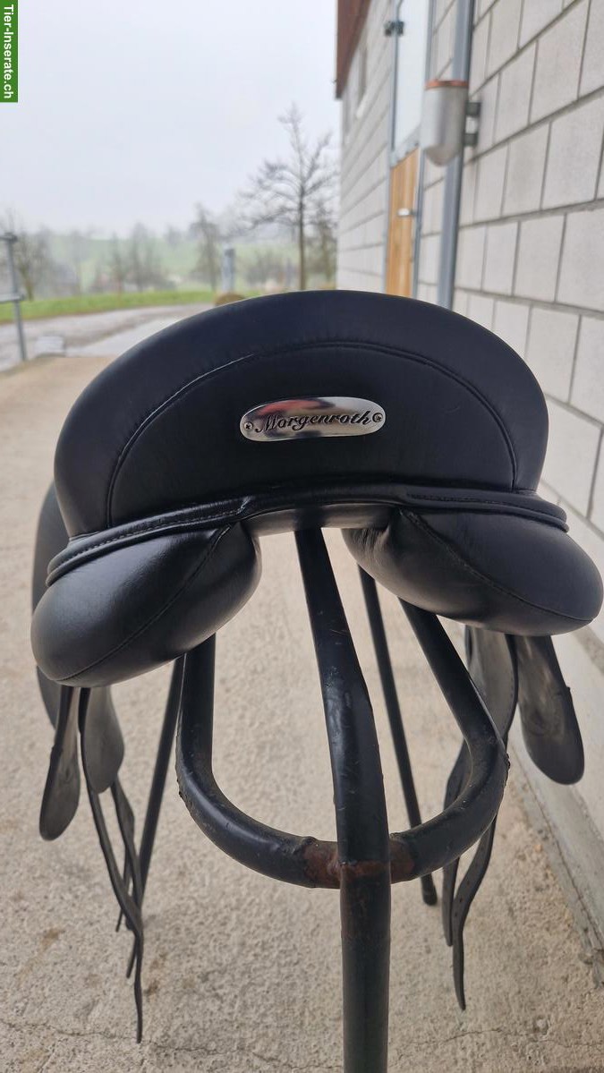 Bild 5: Morgenrot Vielseitigkeitssattel 17.5 Zoll zu verkaufen
