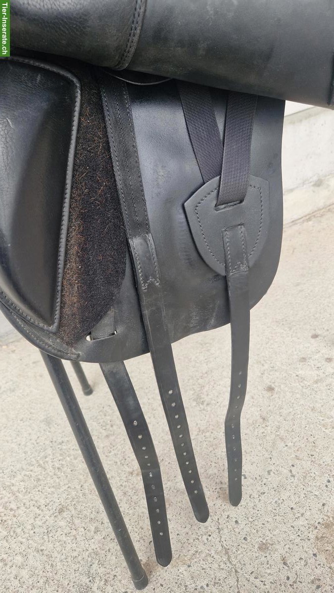 Bild 6: Morgenrot Vielseitigkeitssattel 17.5 Zoll zu verkaufen