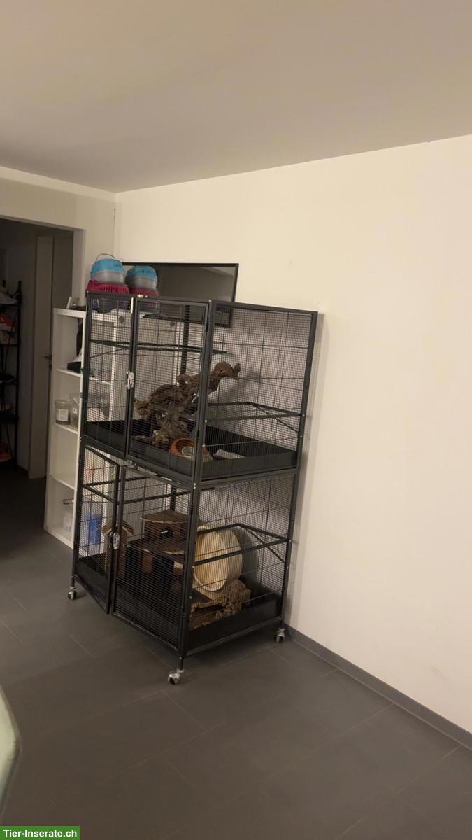 Bild 2: Grosser Nagerkäfig / Voliere, ideal für Degus oder Ratten