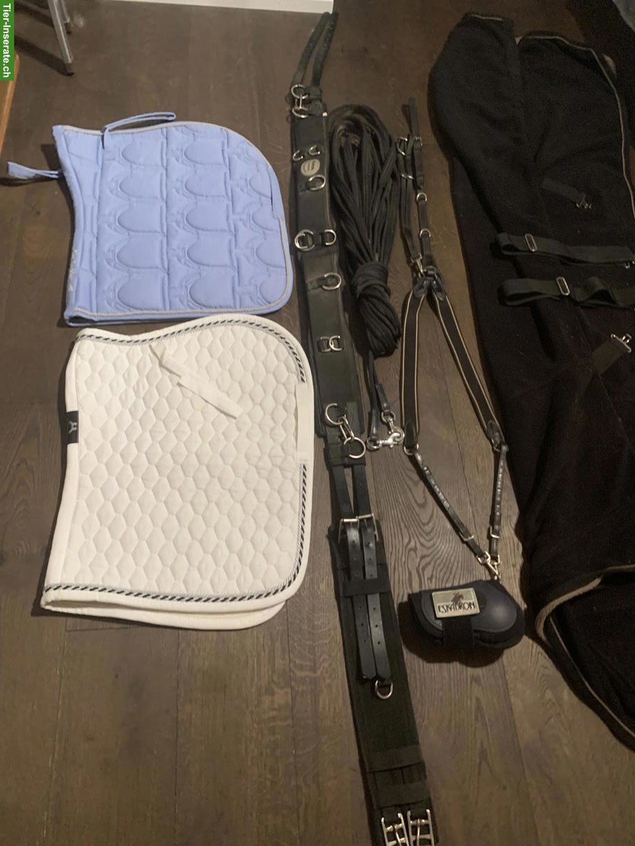 Pferdezubehör WB: Decke, Longiergurt, Gamaschen, Schabracken