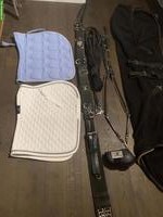 Pferdezubehör WB: Decke, Longiergurt, Gamaschen, Schabracken