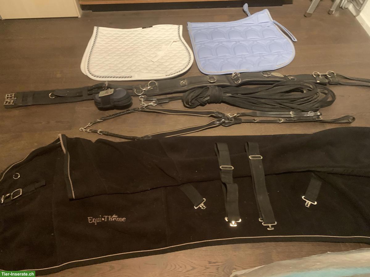 Bild 2: Pferdezubehör WB: Decke, Longiergurt, Gamaschen, Schabracken