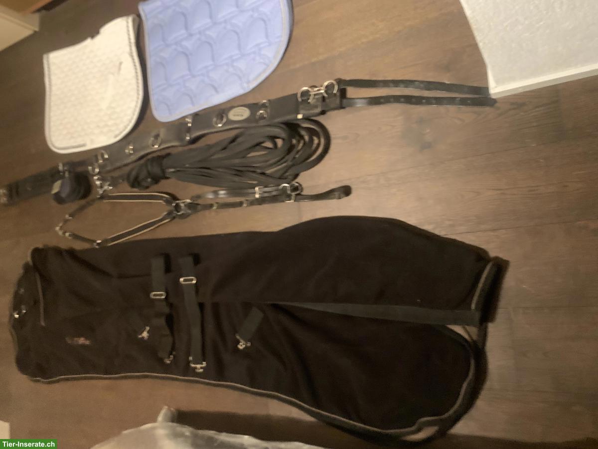 Bild 3: Pferdezubehör WB: Decke, Longiergurt, Gamaschen, Schabracken