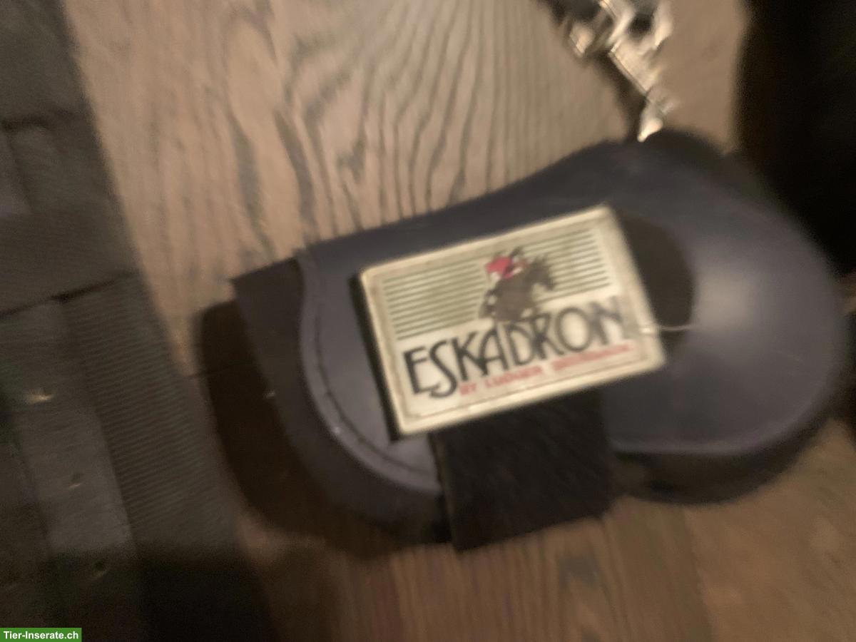 Bild 4: Pferdezubehör WB: Decke, Longiergurt, Gamaschen, Schabracken