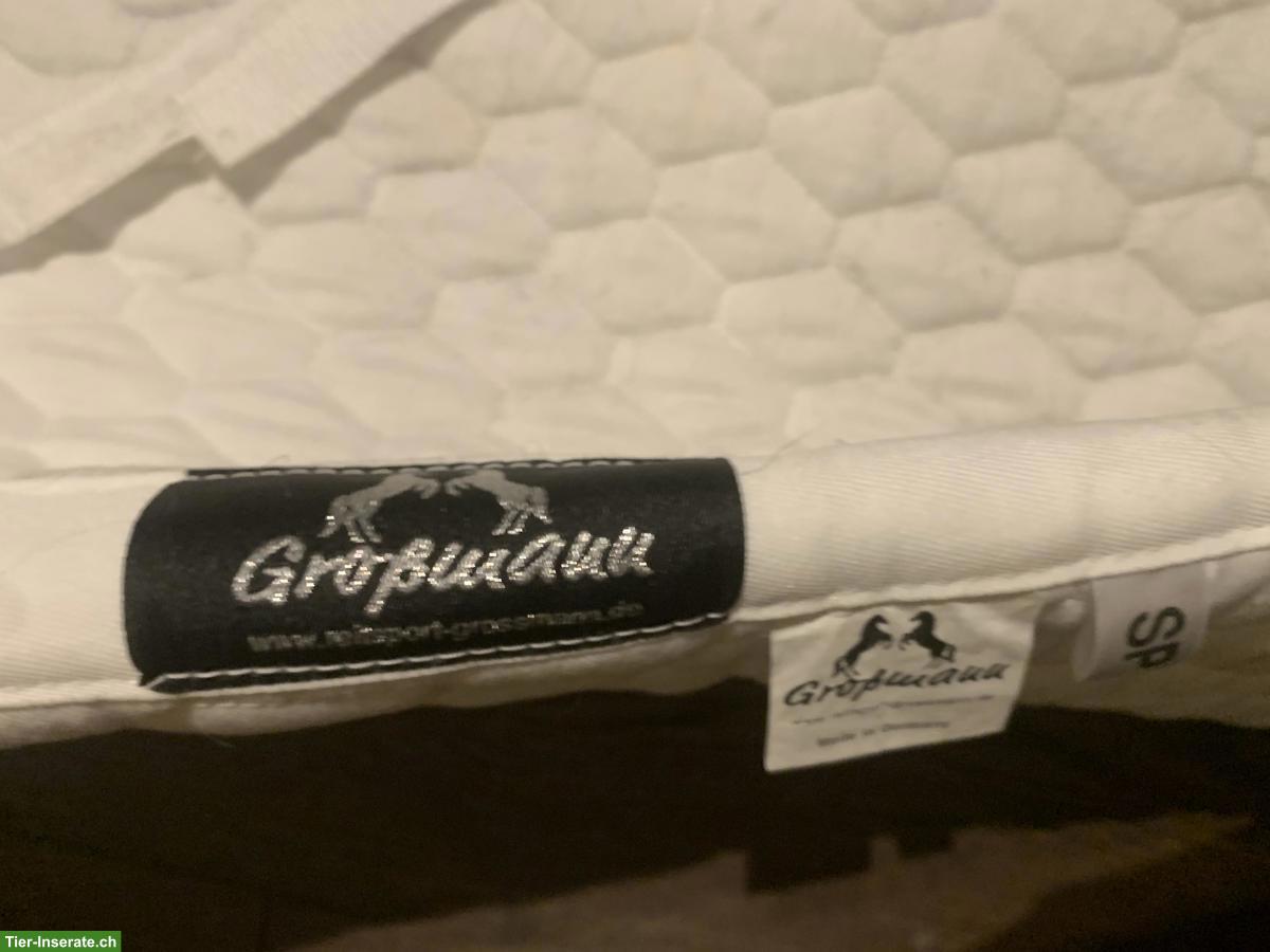 Bild 6: Pferdezubehör WB: Decke, Longiergurt, Gamaschen, Schabracken