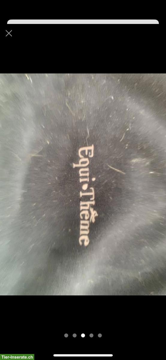 Bild 7: Pferdezubehör WB: Decke, Longiergurt, Gamaschen, Schabracken