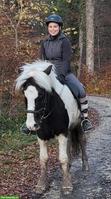 Suche Reitbeteiligung/Pflegepferd in Region Basel