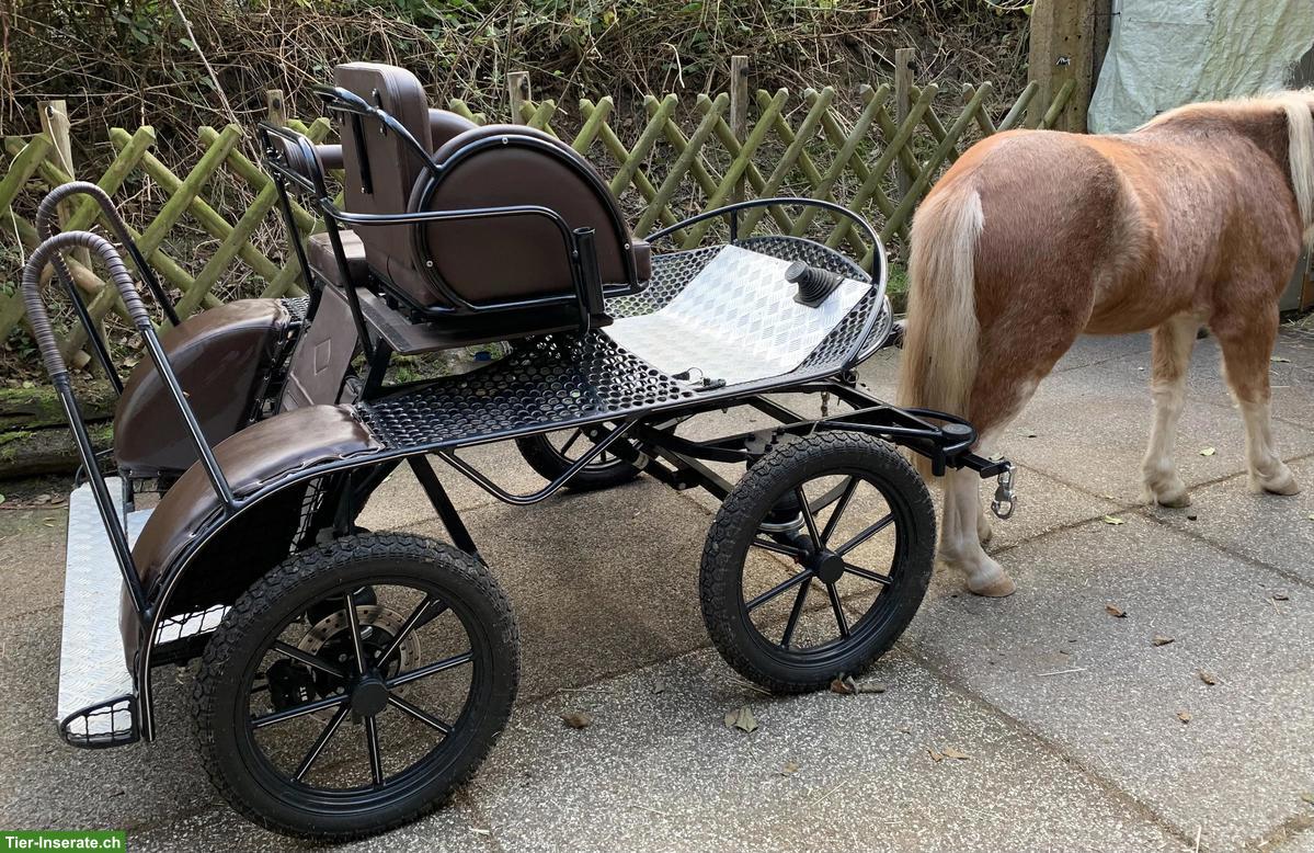 Suche Fahrpony ans Futter für 3 Monate