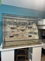 Reptilien Terrarium mit Rückwand, Beleuchtung & Zubehör